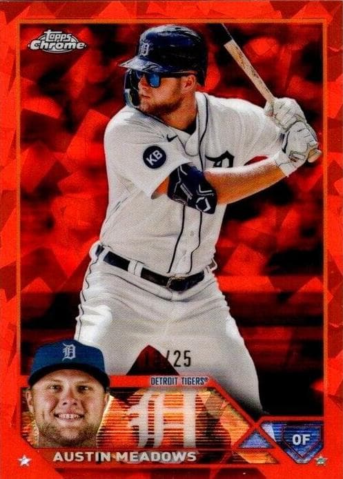 #252