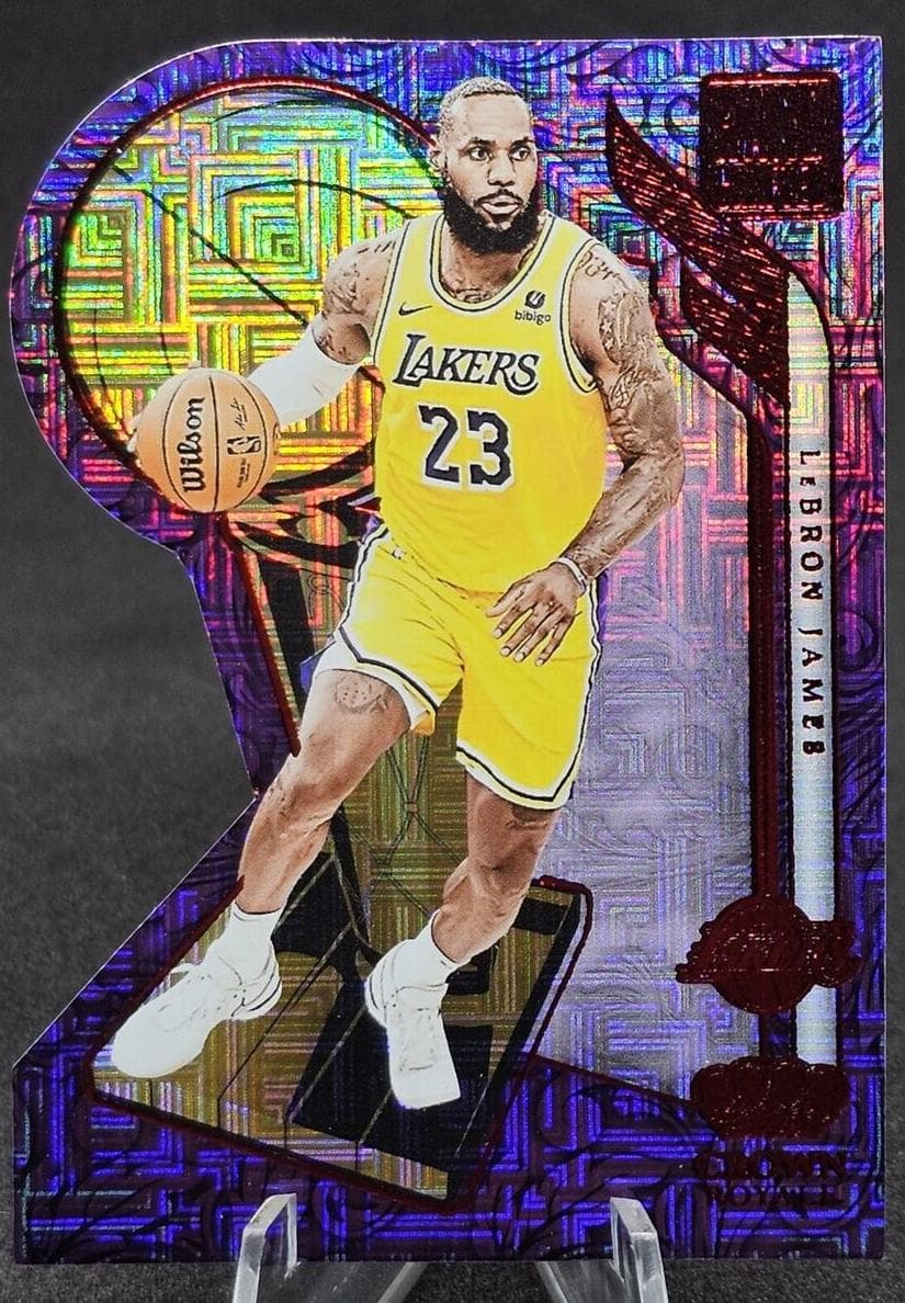 LeBron James #8