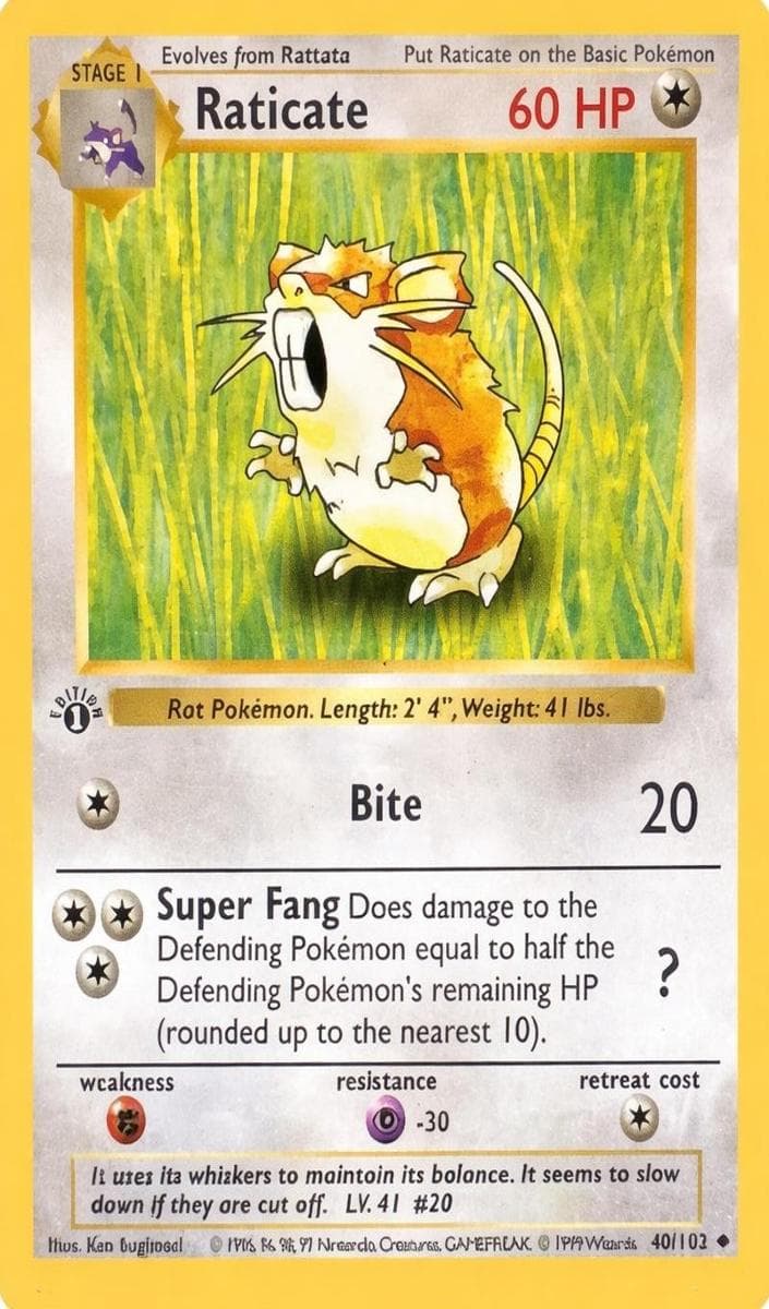 Raticate #40