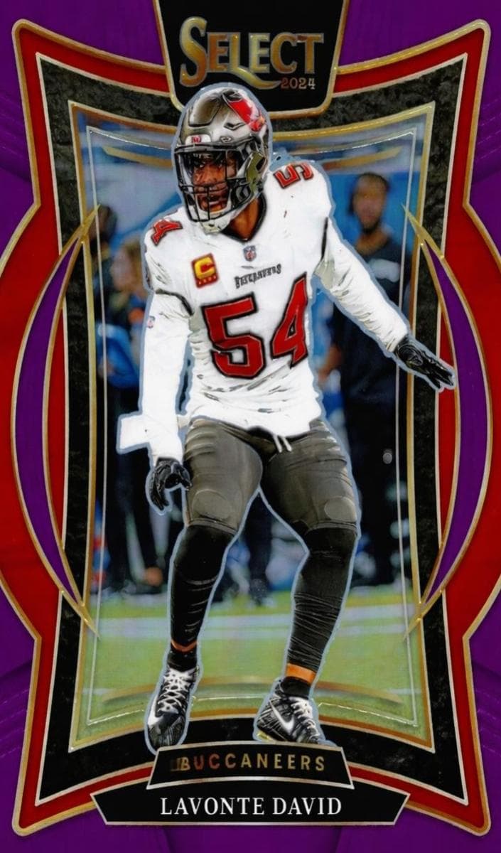 Lavonte David 2024 panini Panini Select