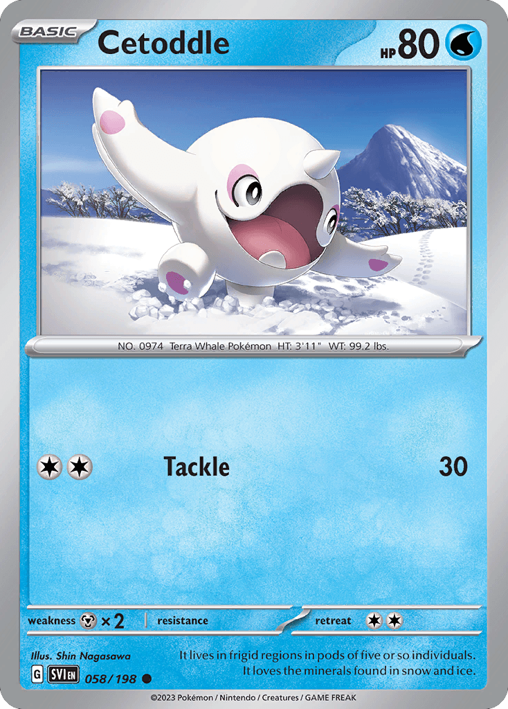 Cetoddle 2023 Pokemon