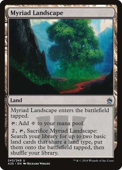 #243