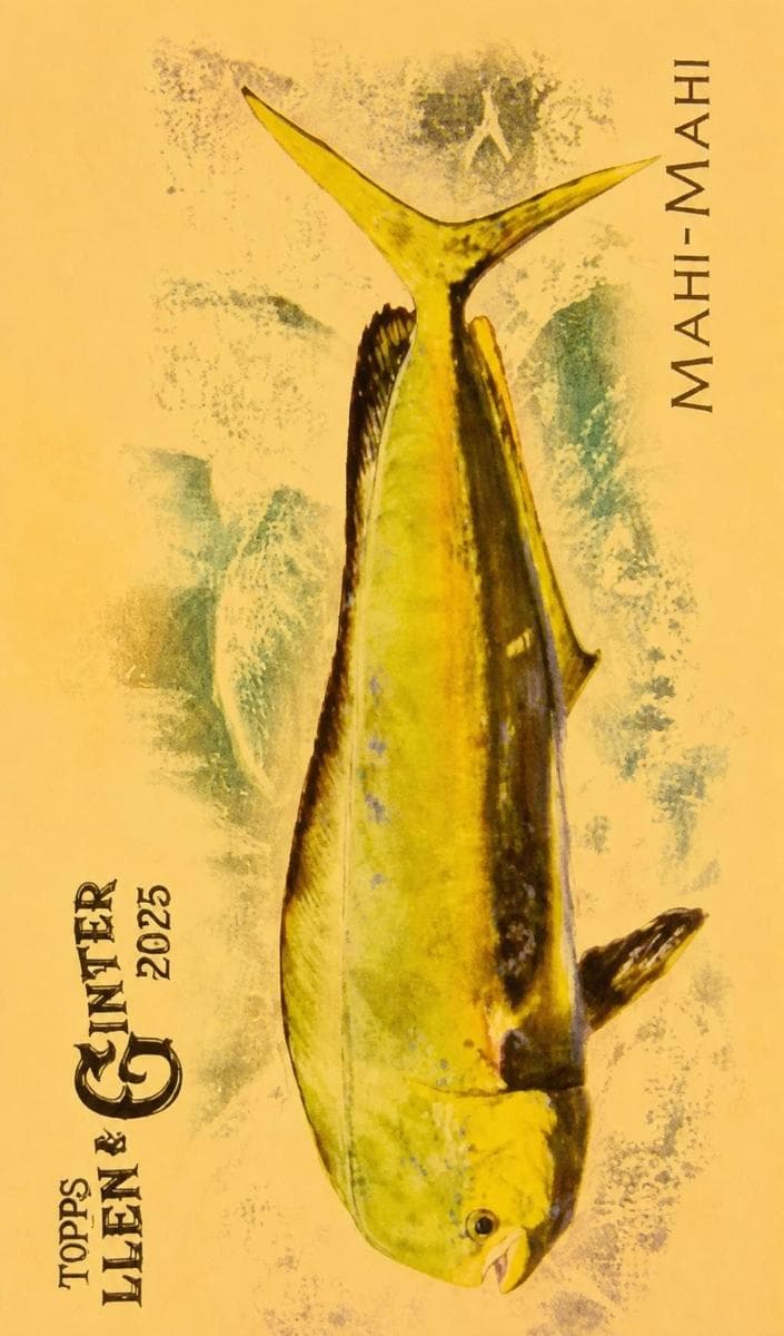Mahi-Mahi 2025 topps Allen & Ginter
