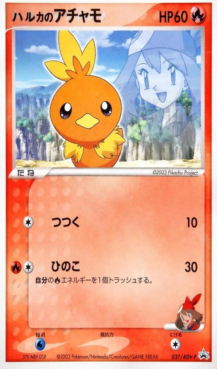 May's Torchic #37