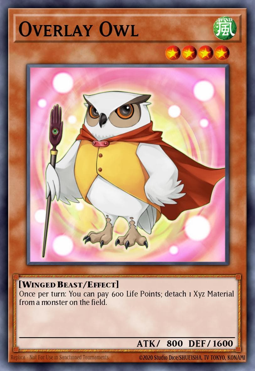 Overlay Owl #GAOV-EN003