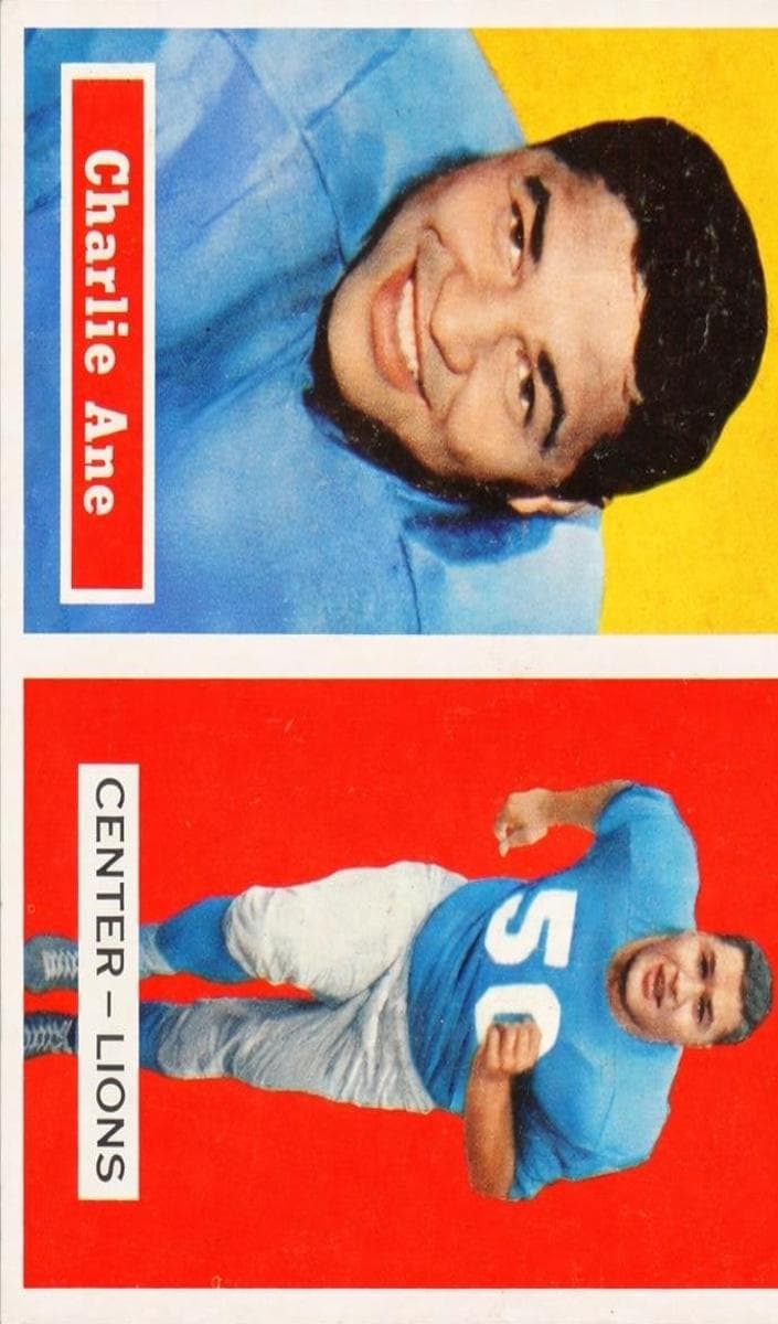 Charlie Ane #56