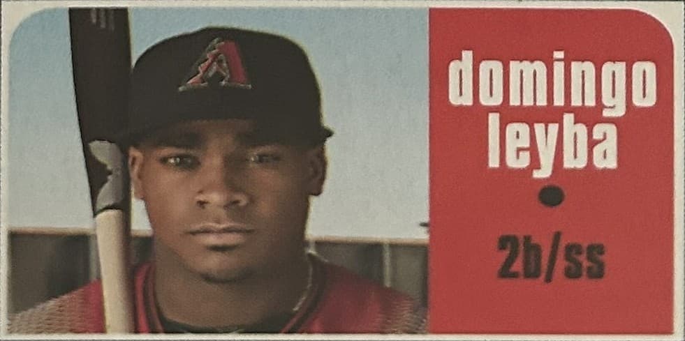 Baseball Domingo Leyba 2020 Topps Heritage