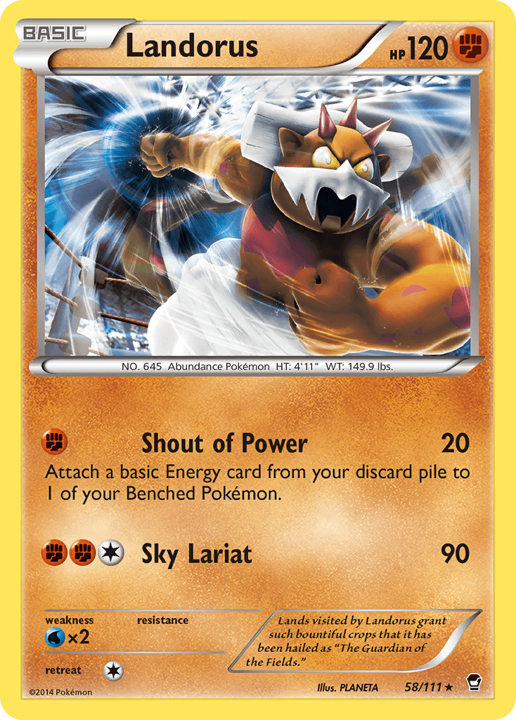 Landorus 2014 Pokemon Furious Fists