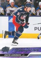 Dmitri Voronkov trading card