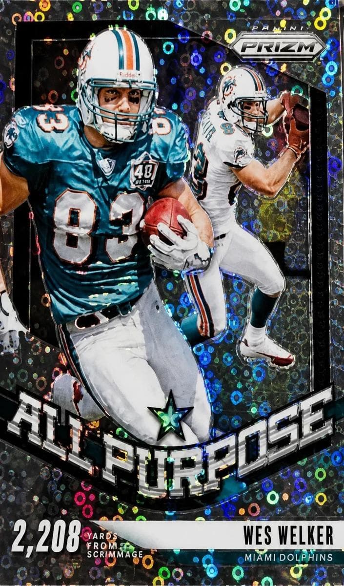 Wes Welker/Wes Welker #14