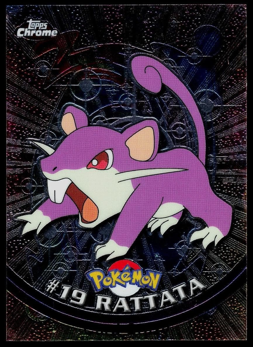 Rattata #19