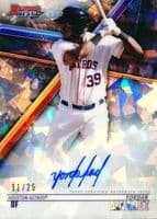 Yordan Alvarez #B18-YA