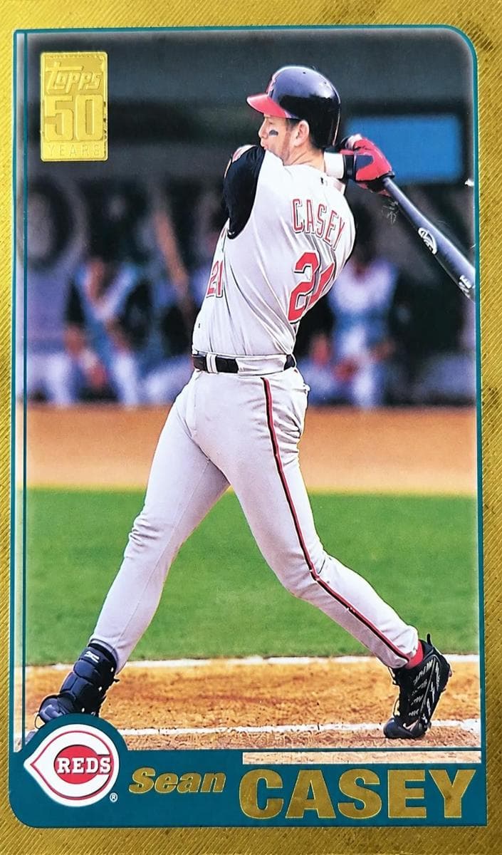 Sean Casey #570