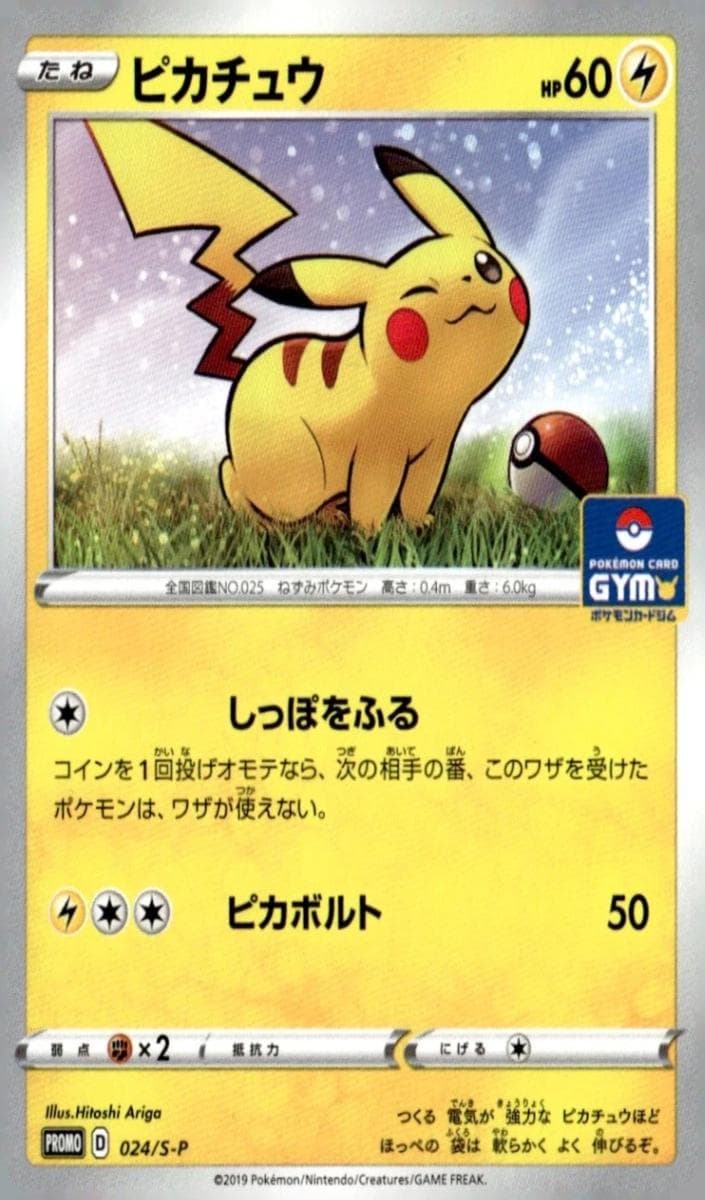 Pikachu #24