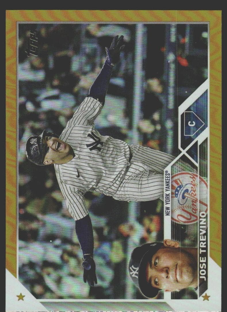 #373