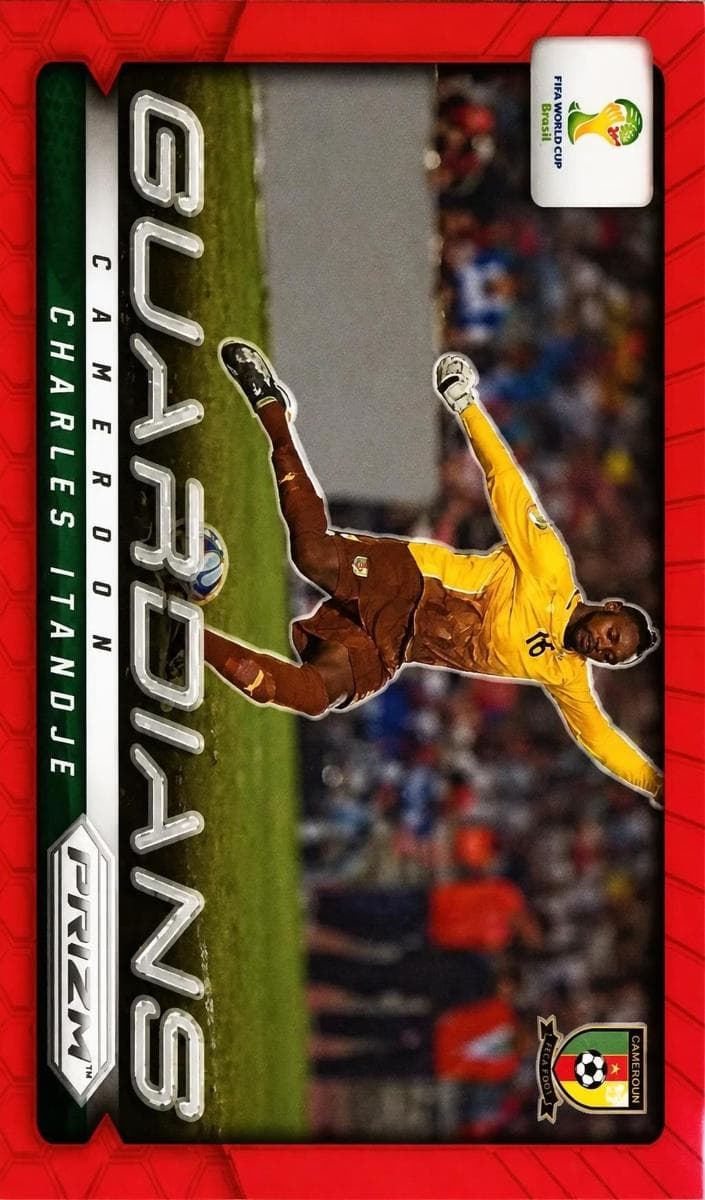 Charles Itandje 2014 panini