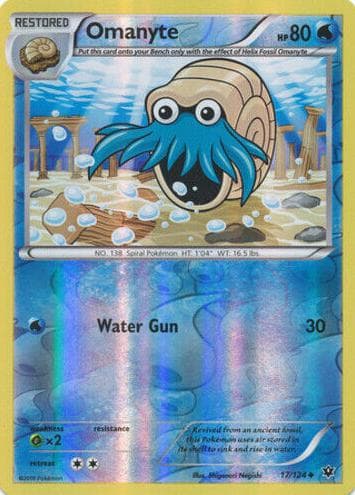 Omanyte #17