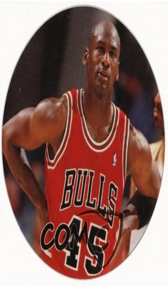 Michael Jordan 1995 upper-deck Jordan Milk Caps