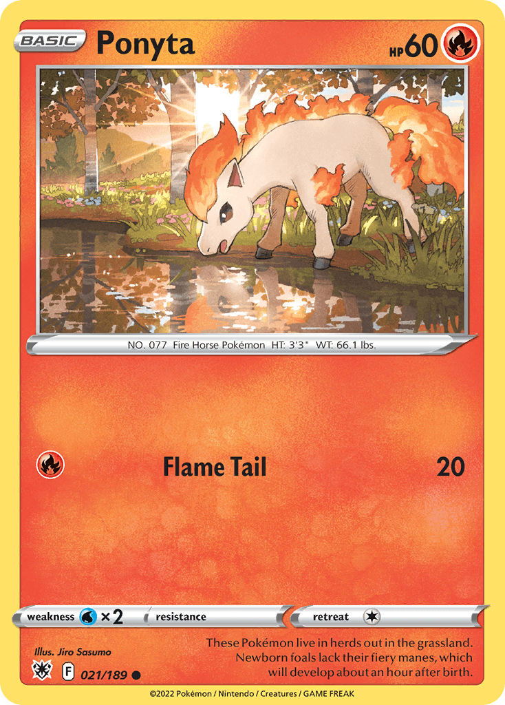 Ponyta 2022 Pokemon