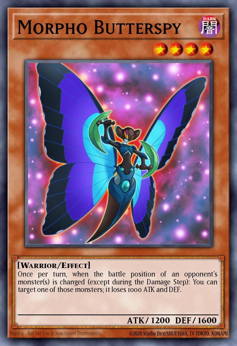 Morpho Butterspy #GAOV-JP012