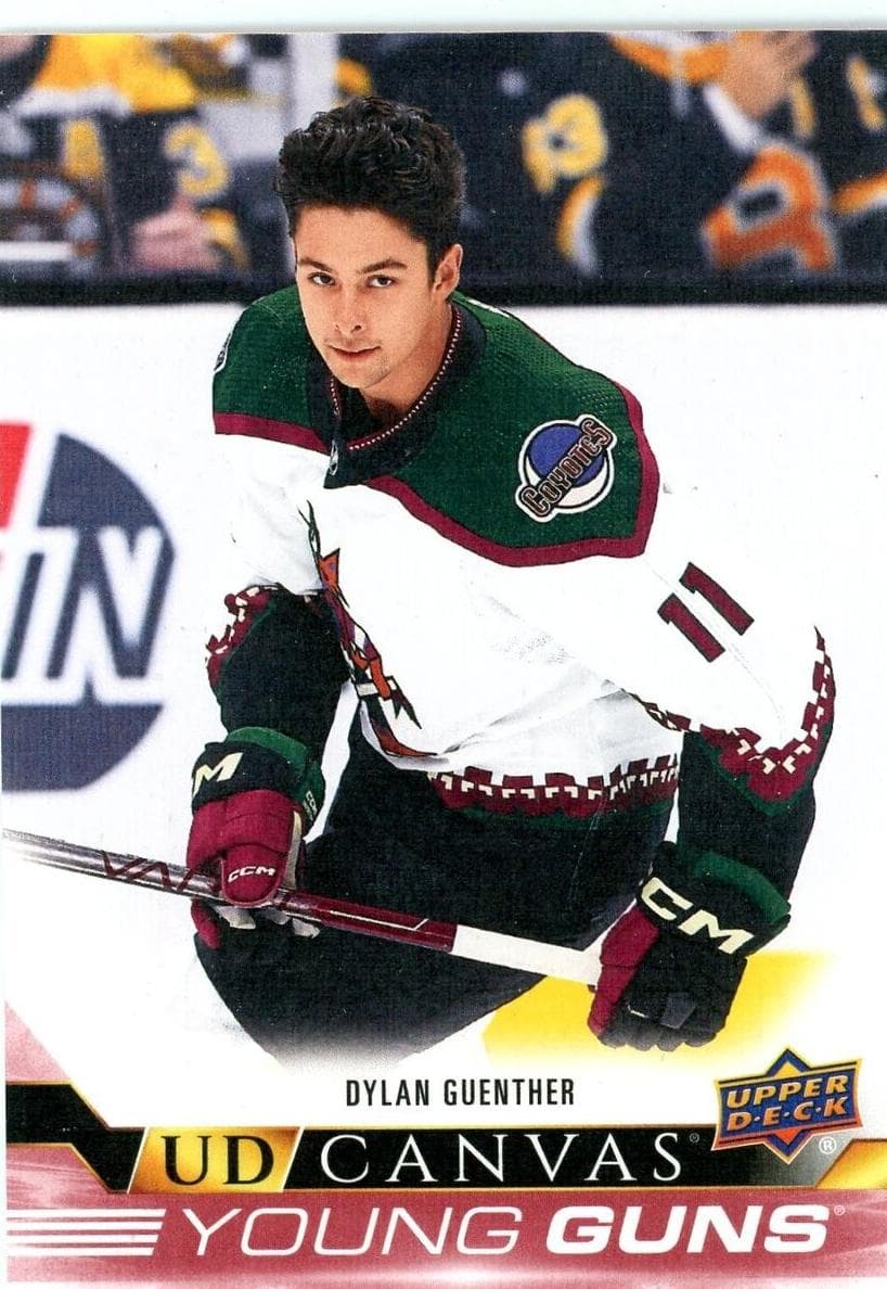 Dylan Guenther #C239