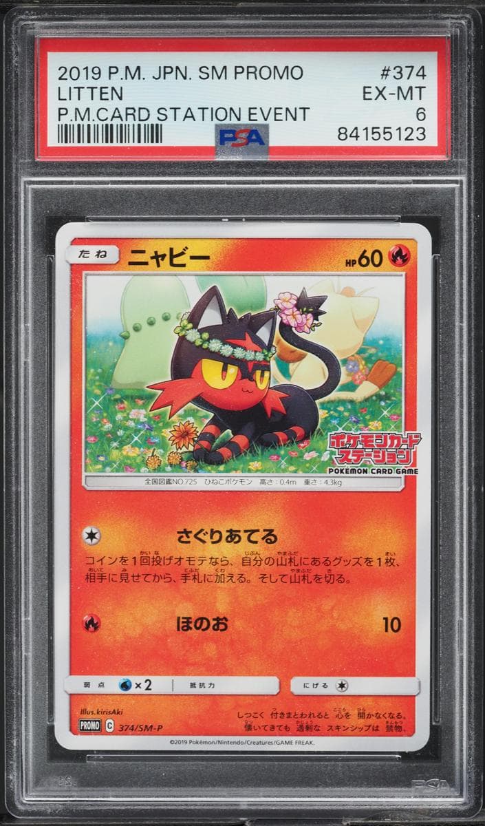 Litten #374