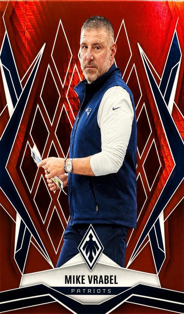 Mike Vrabel #37
