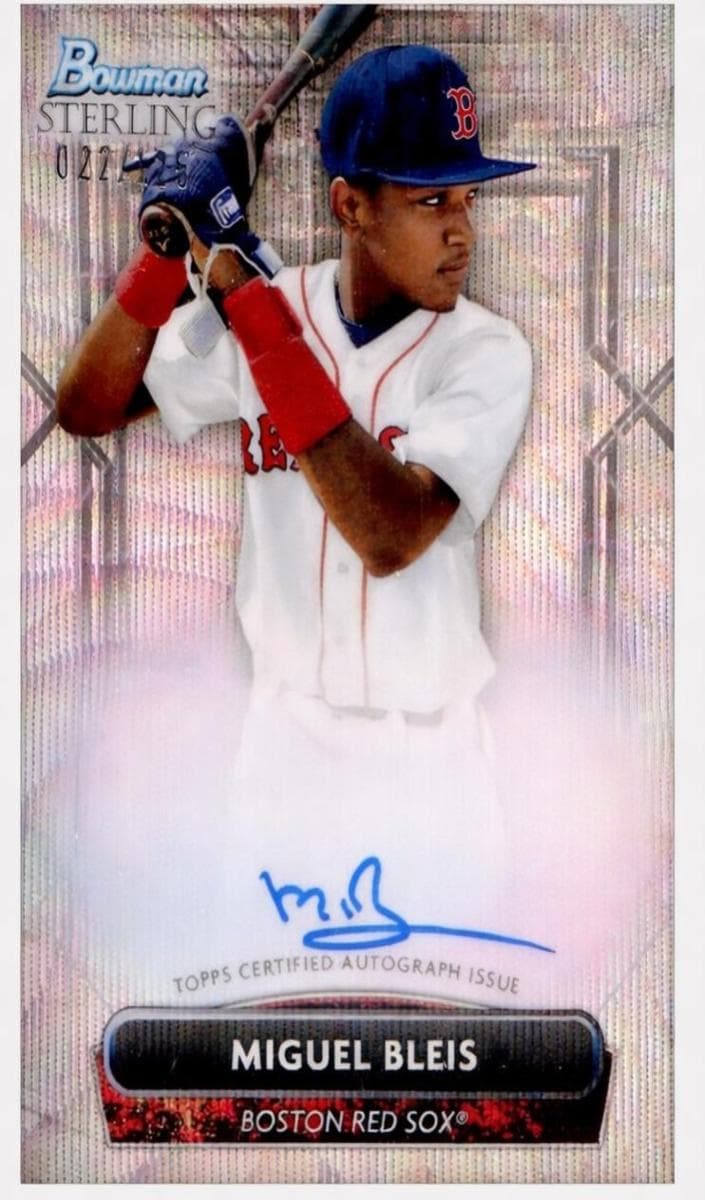 Miguel Bleis trading card