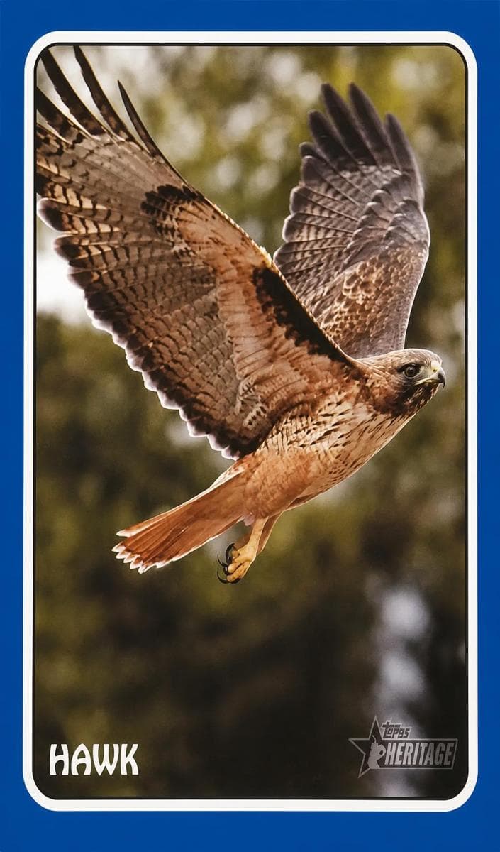 Hawk 2024 topps Topps Heritage