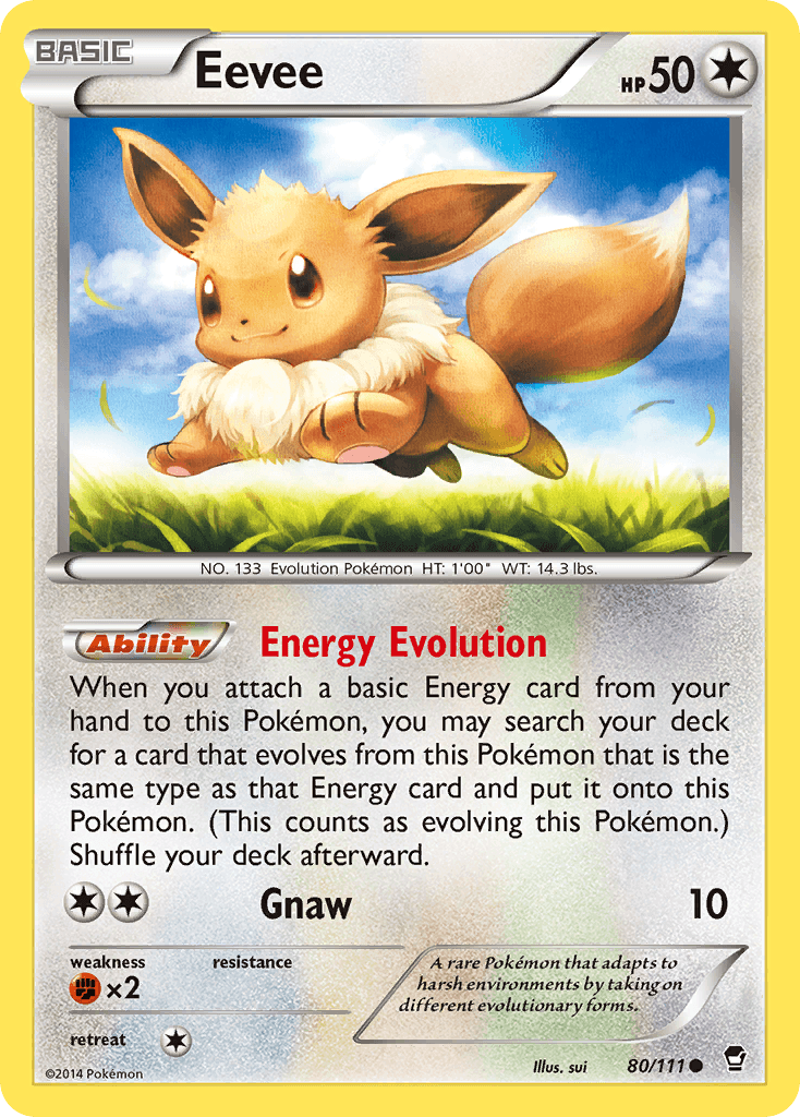 Eevee 2014 Pokemon Furious Fists