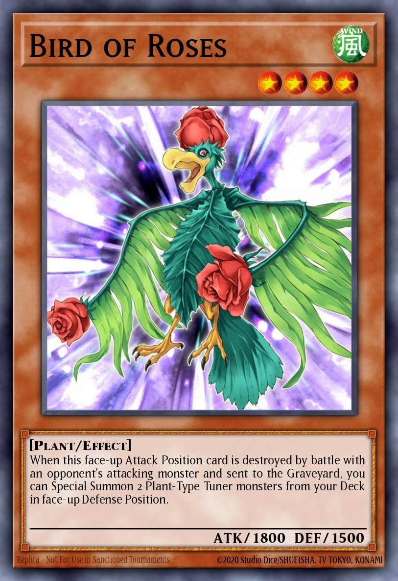 Bird of Roses #TSHD-JP018