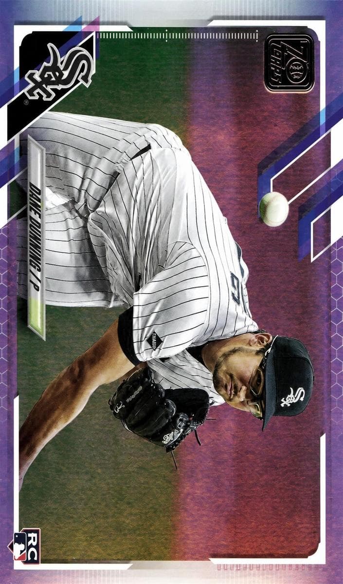 #231