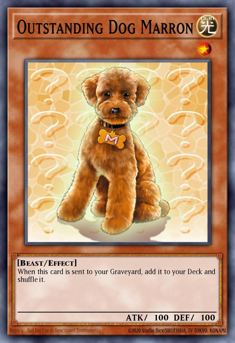 Outstanding Dog Marron #OP17-EN014