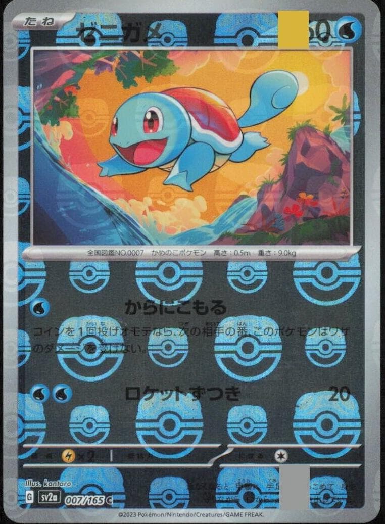 Squirtle #7