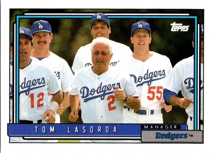 #261
