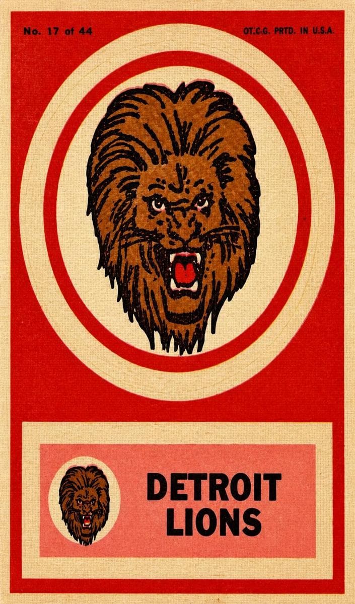 Detroit Lions #17