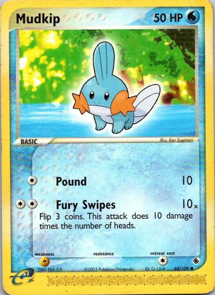 Mudkip #60