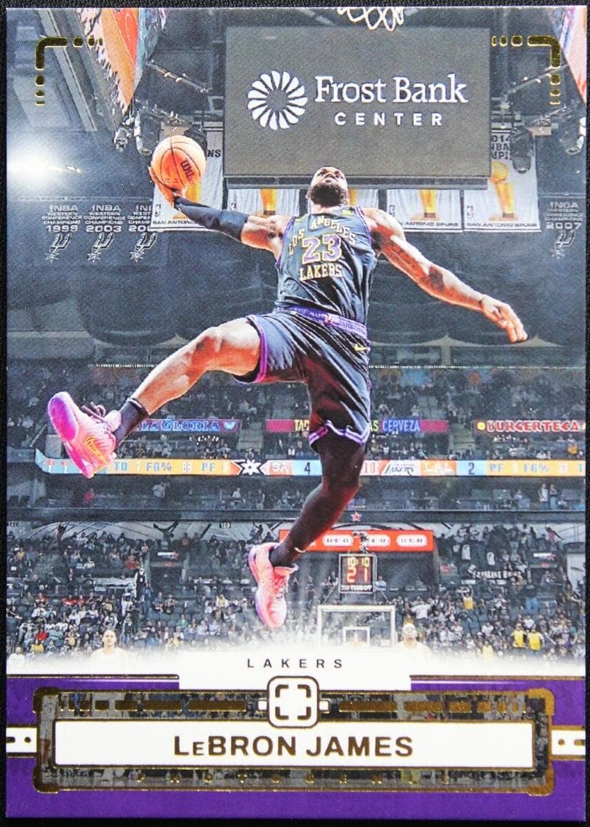 LeBron James #41