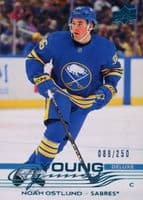 Noah Ostlund #219