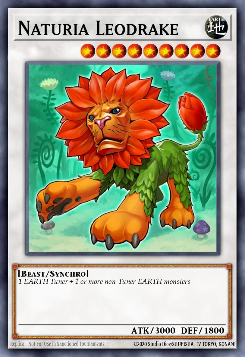 Naturia Leodrake 2010 Yu-Gi-Oh! Duel Terminal 2