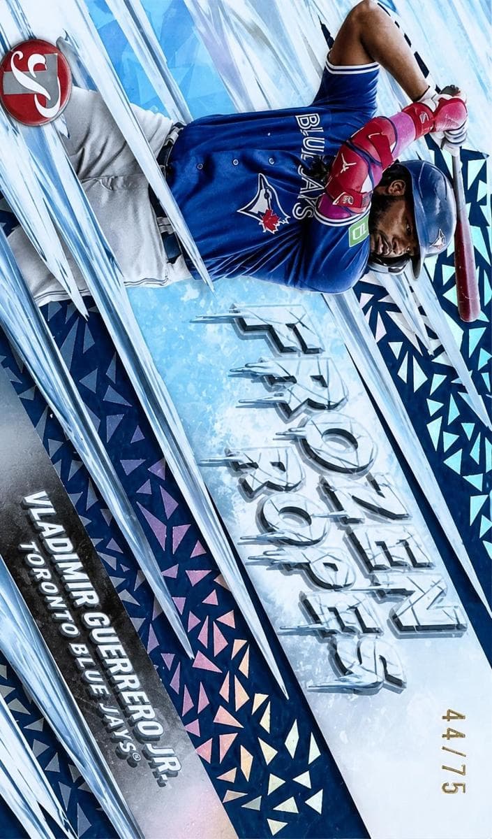 Vladimir Guerrero Jr. #FR-5