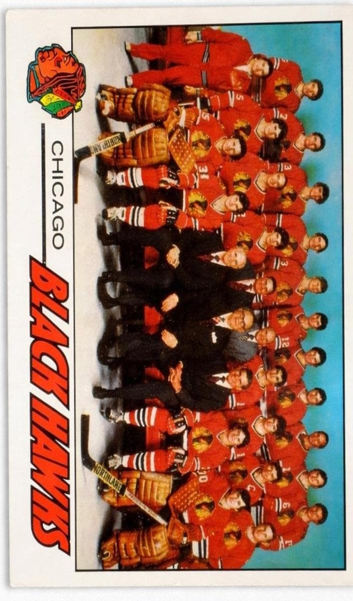 Black Hawks Team #74