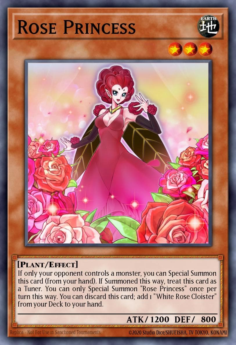 Rose Princess #L5DD-ENA10