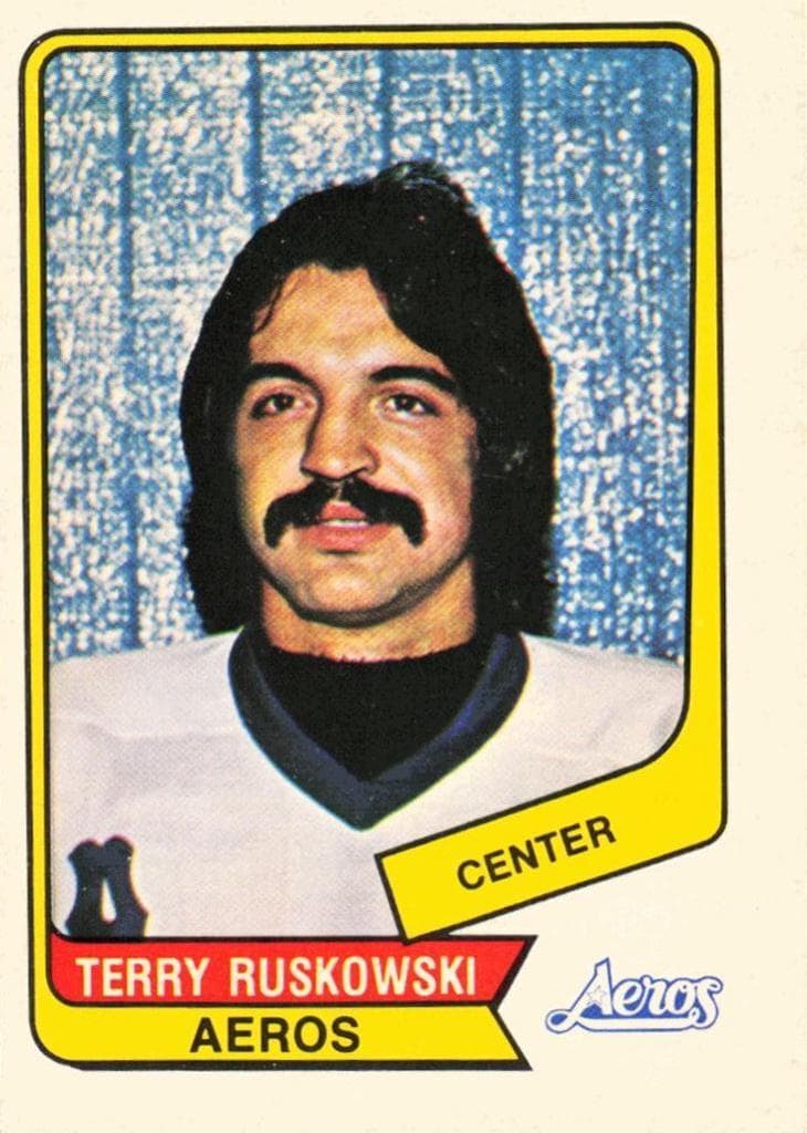 Terry Ruskowski 1976 o-pee-chee O-Pee-Chee WHA