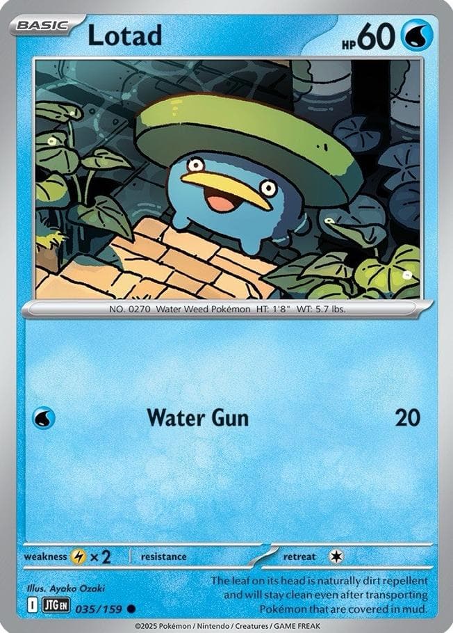 Lotad #35