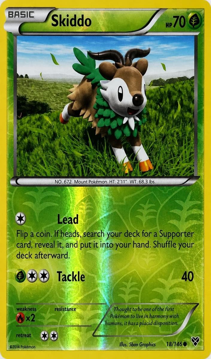 Skiddo #18