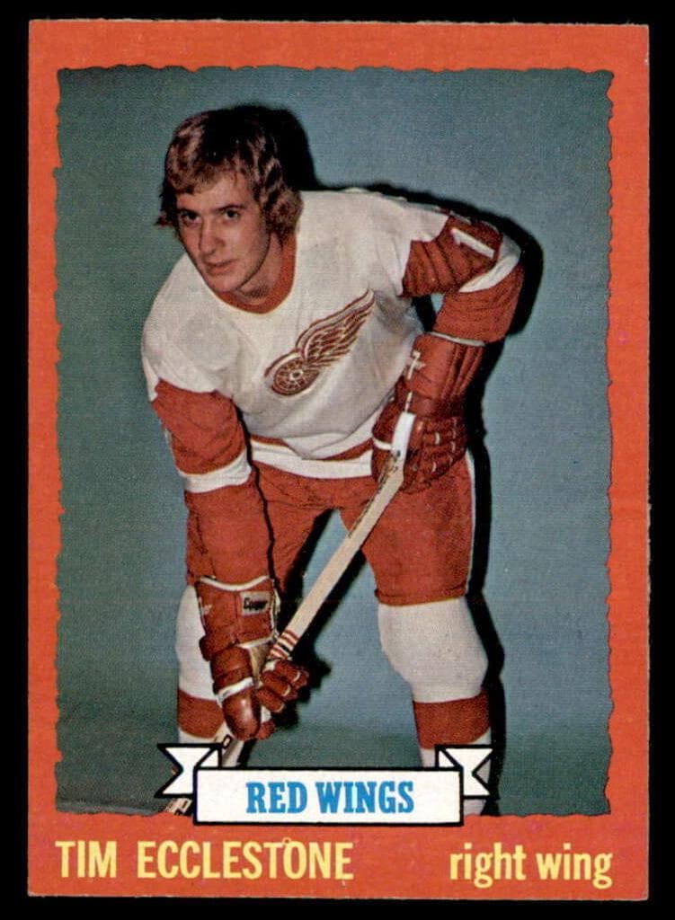 Tim Ecclestone 1973 topps Topps