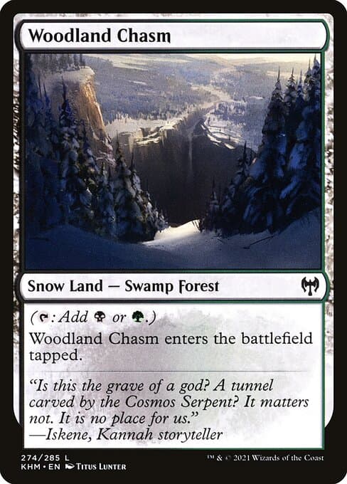 Woodland Chasm 2021 Magic: The Gathering