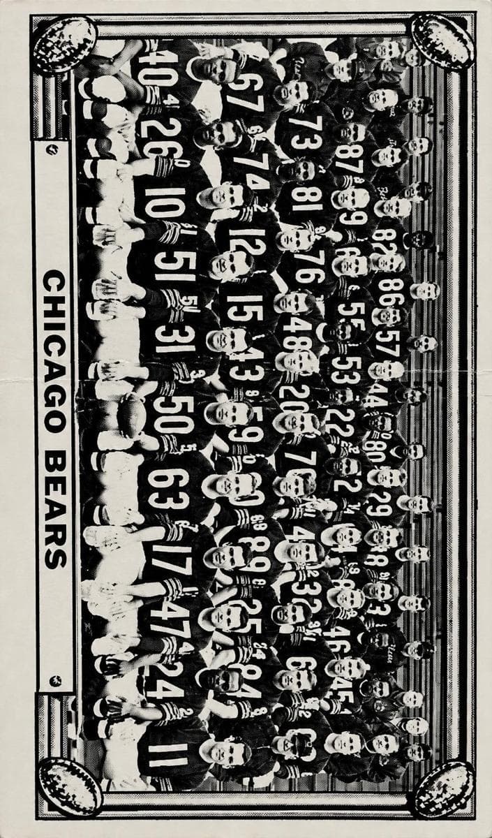 Chicago Bears #24