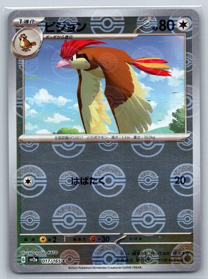 Pidgeotto #17